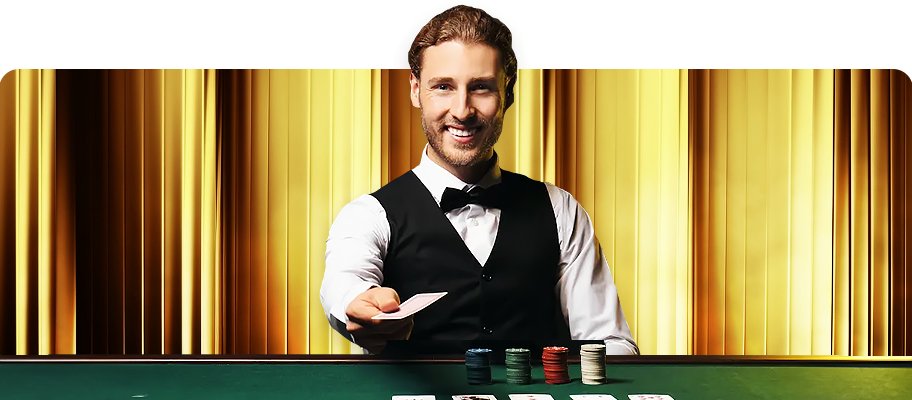 3537bet